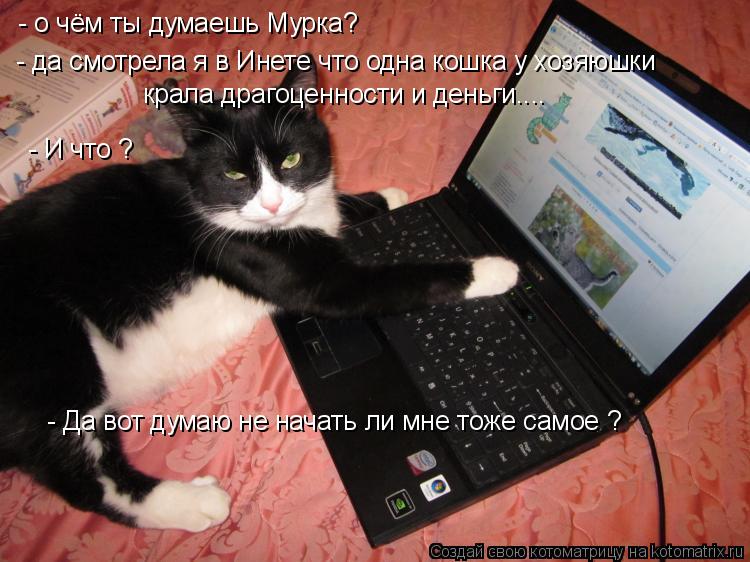 Котоматрица: - о чём ты думаешь Мурка? - да смотрела я в Инете что одна кошка у хозяюшки крала драгоценности и деньги.... - И что ? - Да вот думаю не начать ли м