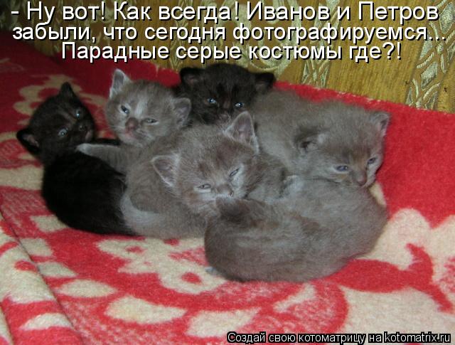 Котоматрица: - Ну вот! Как всегда! Иванов и Петров забыли, что сегодня фотографируемся... Парадные серые костюмы где?!