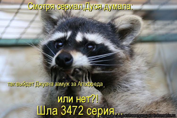Смотря сериал,Дуся думала: так выйдет Джуана замуж за Альфреда , или нет?! Шла 3472 серия...... Котоматрица: Смотря сериал,Дуся думала: так выйдет Джуана замуж за Альфреда , или нет?! Шла 3472 серия...