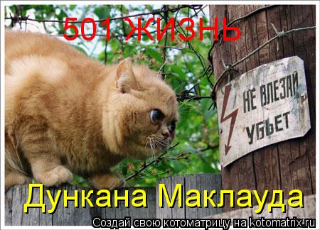 501 ЖИЗНЬ Дункана Маклауда... Котоматрица: 501 ЖИЗНЬ Дункана Маклауда