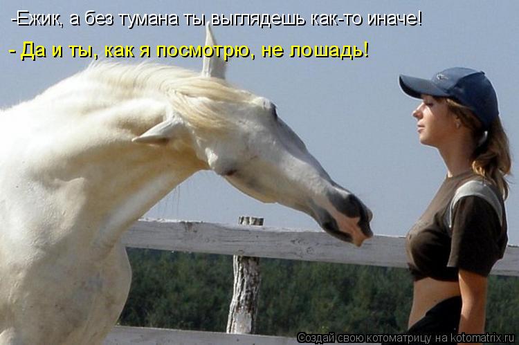 -Ежик, а без тумана ты выглядешь как-то иначе! - Да и ты, как я посмотрю, не лошадь!... Котоматрица: -Ежик, а без тумана ты выглядешь как-то иначе! - Да и ты, как я посмотрю, не лошадь!