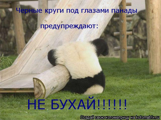 Черные круги под глазами панады предупреждают: НЕ БУХАЙ!!!!!!... Котоматрица: Черные круги под глазами панады предупреждают: НЕ БУХАЙ!!!!!!