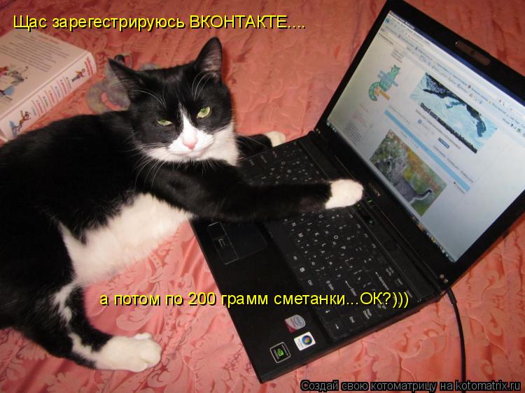 Котоматрица: Щас зарегестрируюсь ВКОНТАКТЕ.... а потом по 200 грамм сметанки...ОК?)))