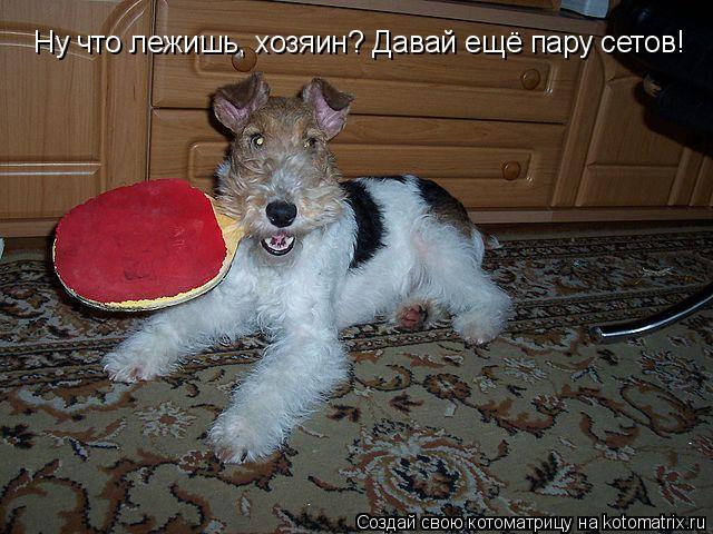 Котоматрица: Ну что лежишь, хозяин? Давай ещё пару сетов!