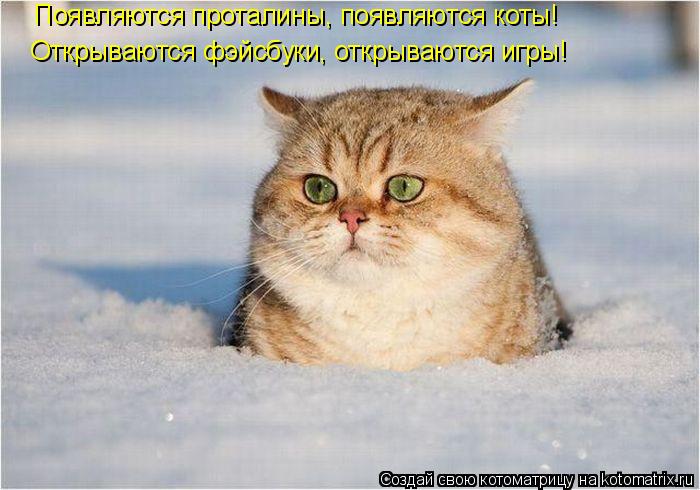 Котоматрица: Появляются проталины, появляются коты! Открываются фэйсбуки, открываются игры!