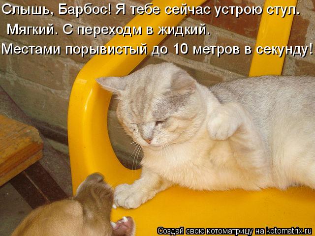 Котоматрица: Слышь, Барбос! Я тебе сейчас устрою стул.  Мягкий. С переходм в жидкий.  Местами порывистый до 10 метров в секунду!