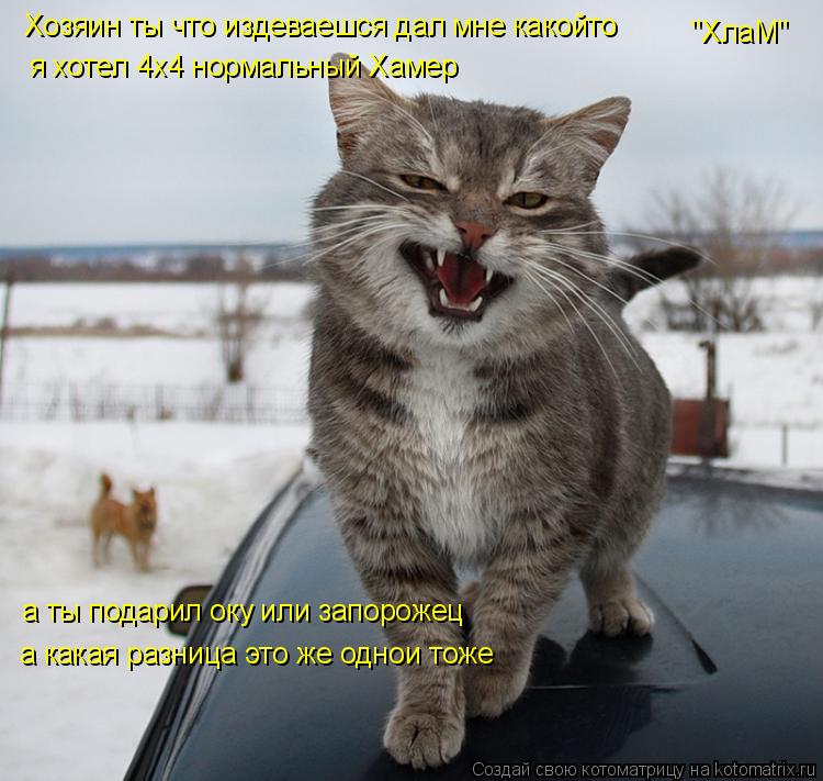 Котоматрица: Хозяин ты что издеваешся дал мне какойто "ХлаМ" я хотел 4х4 нормальный Хамер а ты подарил оку или запорожец а какая разница это же однои тоже