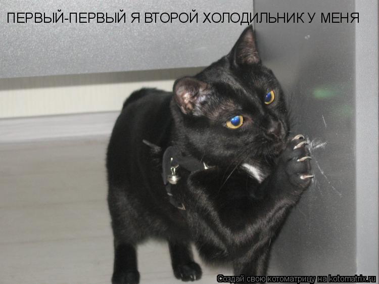 Котоматрица: ПЕРВЫЙ-ПЕРВЫЙ Я ВТОРОЙ ХОЛОДИЛЬНИК У МЕНЯ