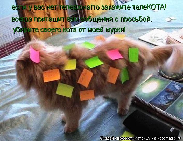 Котоматрица: если у вас нет телефона!то закажите телеКОТА! всегда притащит вам собщения с просьбой: убирите своего кота от моей мурки!