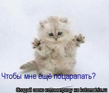 Котоматрица: Чтобы мне ещё поцарапать?