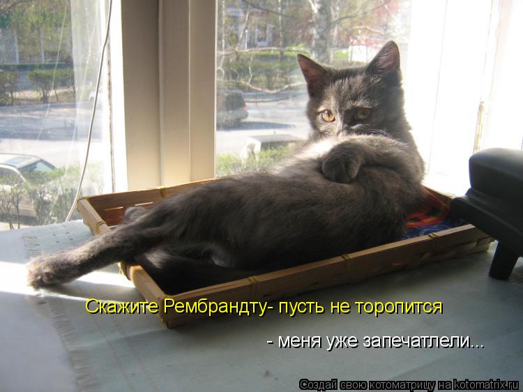 Котоматрица: Скажите Рембрандту- пусть не торопится - меня уже запечатлели...