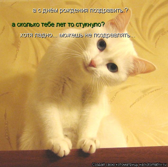 а с днём рождения поздравить:? а сколько тебе лет то стукнуло? хотя ладно... можешь не поздравлять...... Котоматрица: а с днём рождения поздравить:? а сколько тебе лет то стукнуло? хотя ладно... можешь не поздравлять...