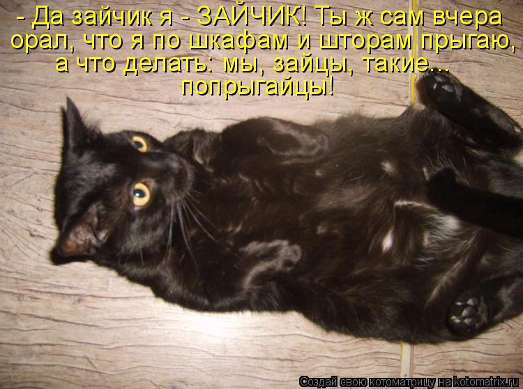 - Да зайчик я - ЗАЙЧИК! Ты ж сам вчера орал, что я по шкафам и шторам прыгаю, а что делать: мы, зайцы... Котоматрица: - Да зайчик я - ЗАЙЧИК! Ты ж сам вчера орал, что я по шкафам и шторам прыгаю, а что делать: мы, зайцы, такие... попрыгайцы!