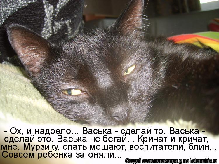 - Ох, и надоело... Васька - сделай то, Васька - сделай это, Васька не бегай... Кричат и кричат, мне,... Котоматрица: - Ох, и надоело... Васька - сделай то, Васька - сделай это, Васька не бегай... Кричат и кричат, мне, Мурзику, спать мешают, воспитатели, блин... Совс