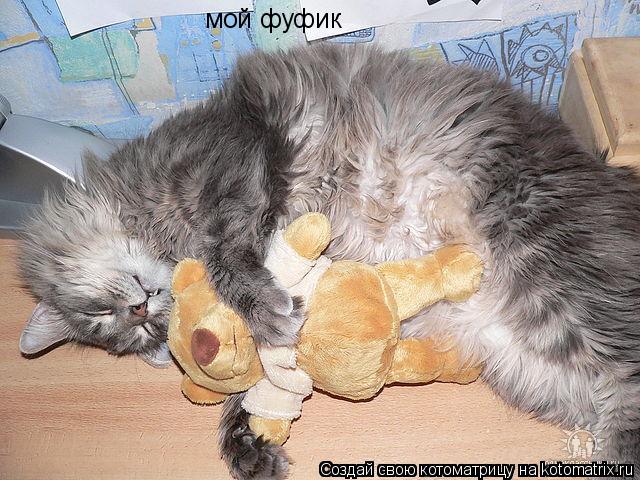 мой фуфик... Котоматрица: мой фуфик
