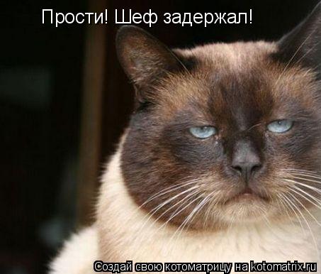Прости! Шеф задержал!... Котоматрица: Прости! Шеф задержал!