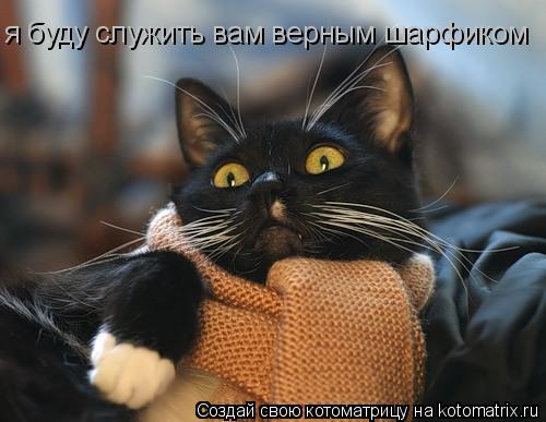 я буду служить вам верным шарфиком... Котоматрица: я буду служить вам верным шарфиком