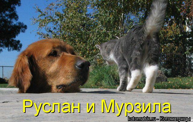 Руслан и Мурзила... Котоматрица: Руслан и Мурзила