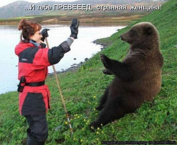 ...И тебе ПРЕВЕЕЕД, странная женщина!... Котоматрица: ...И тебе ПРЕВЕЕЕД, странная женщина!