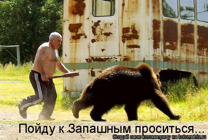 Пойду к Запашным проситься...... Котоматрица: Пойду к Запашным проситься...