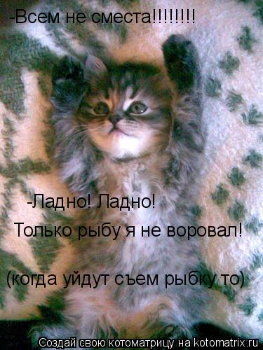 -Всем не сместа!!!!!!!! -Ладно! Ладно! Только рыбу я не воровал! (когда уйдут съем рыбку то)... Котоматрица: -Всем не сместа!!!!!!!! -Ладно! Ладно! Только рыбу я не воровал! (когда уйдут съем рыбку то)