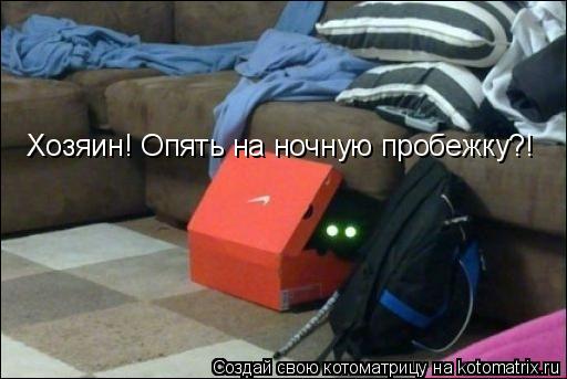 Котоматрица: Хозяин! Опять на ночную пробежку?!