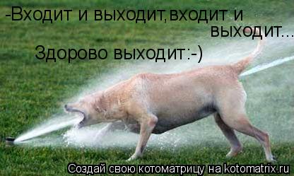 Котоматрица: -Входит и выходит,входит и  выходит... Здорово выходит:-)