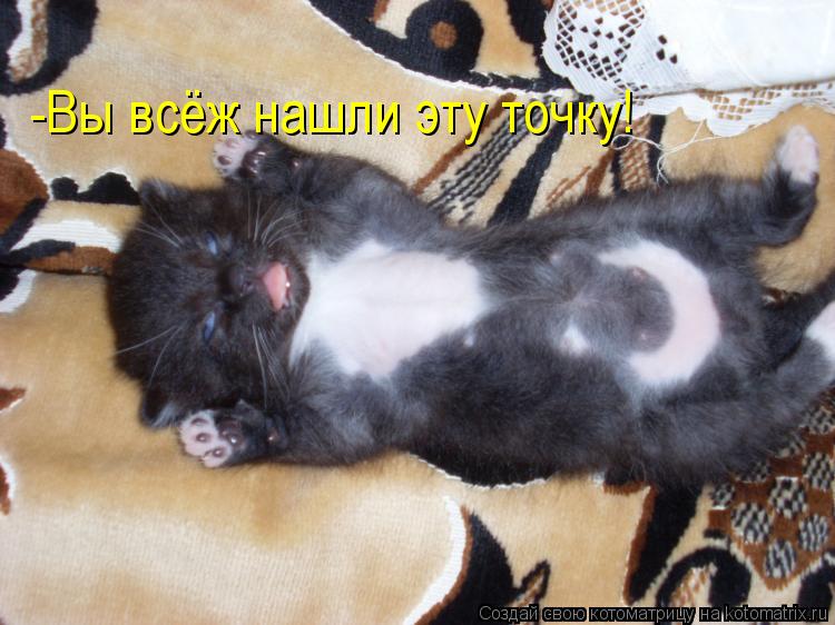 Котоматрица: -Вы всёж нашли эту точку!