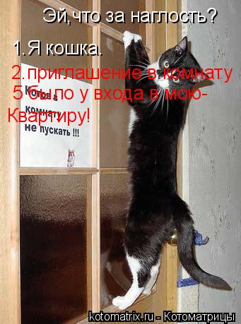 Котоматрица: Эй,что за наглость? 1.Я кошка. 2.приглашение в комнату №5 №5 было у входа в мою- Квартиру!
