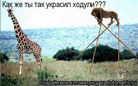 Котоматрица: Как же ты так украсил ходули???