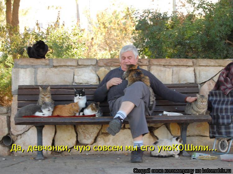 Котоматрица: Да, девчонки, чую совсем мы его укоКОШили...