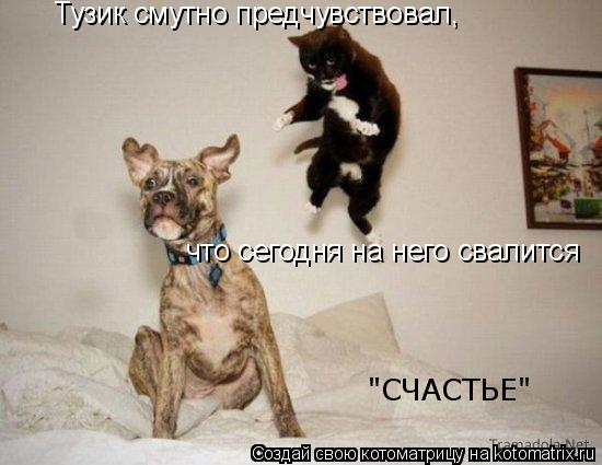 Котоматрица: Тузик смутно предчувствовал, что сегодня на него свалится  "СЧАСТЬЕ"