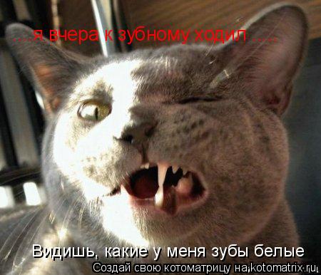 ....я вчера к зубному ходил ..... Видишь, какие у меня зубы белые... Котоматрица: ....я вчера к зубному ходил ..... Видишь, какие у меня зубы белые