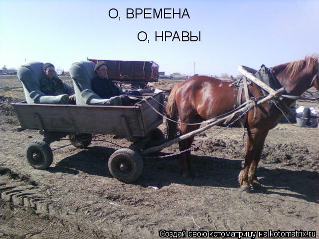 О, ВРЕМЕНА О, НРАВЫ... Котоматрица: О, ВРЕМЕНА О, НРАВЫ