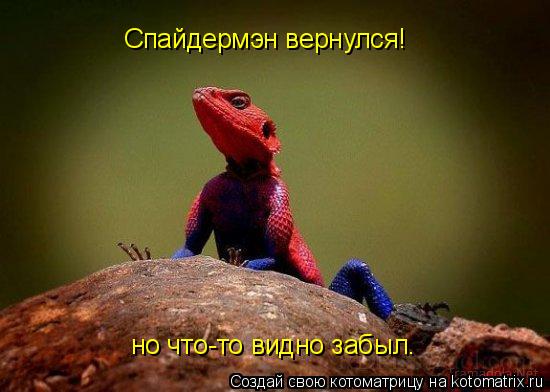 Спайдермэн вернулся! но что-то видно забыл.... Котоматрица: Спайдермэн вернулся! но что-то видно забыл.