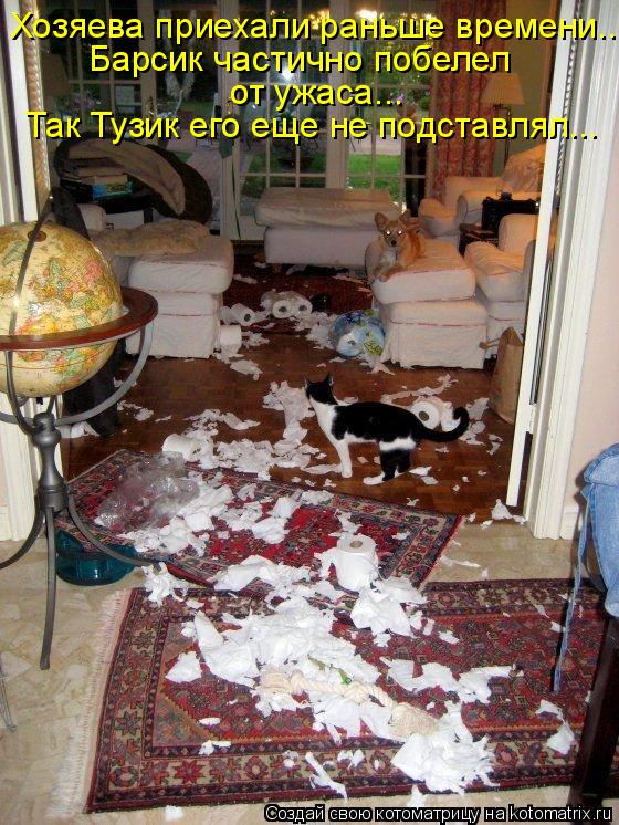 Хозяева приехали раньше времени... Барсик частично побелел от ужаса... Так Тузик его еще не подставля... Котоматрица: Хозяева приехали раньше времени... Барсик частично побелел от ужаса... Так Тузик его еще не подставлял...
