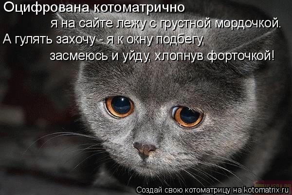 Оцифрована котоматрично я на сайте лежу с грустной мордочкой. А гулять захочу - я к окну подбегу, зас... Котоматрица: Оцифрована котоматрично я на сайте лежу с грустной мордочкой. А гулять захочу - я к окну подбегу, засмеюсь и уйду, хлопнув форточкой!