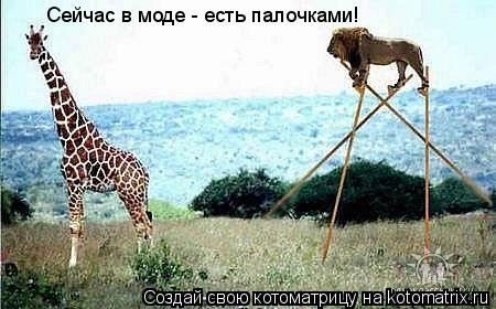 Сейчас в моде - есть палочками!... Котоматрица: Сейчас в моде - есть палочками!