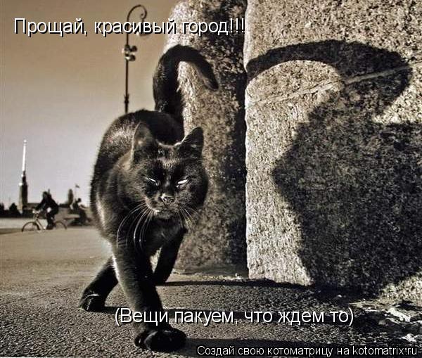 Прощай, красивый город!!! (Вещи пакуем, что ждем то)... Котоматрица: Прощай, красивый город!!! (Вещи пакуем, что ждем то)