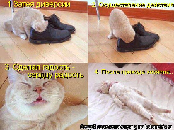 2. Осуществление действия 3. Сделал гадость - сердцу радость 1.Затея диверсии 4. После прихода хозяин... Котоматрица: 2. Осуществление действия 3. Сделал гадость - сердцу радость 1.Затея диверсии 4. После прихода хозяина...