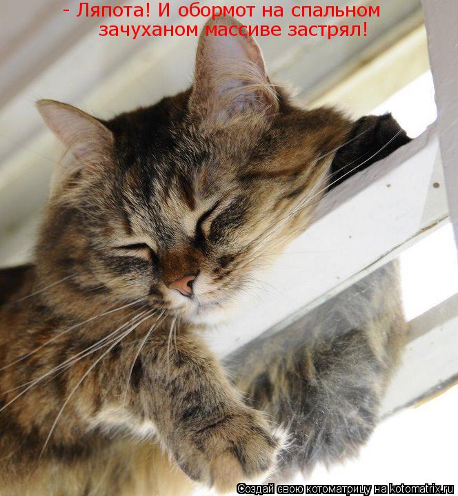 - Ляпота! И обормот на спальном зачуханом массиве застрял!... Котоматрица: - Ляпота! И обормот на спальном зачуханом массиве застрял!