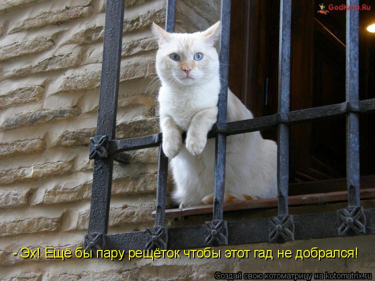 - Эх! Ещё бы пару рещёток чтобы этот гад не добрался!... Котоматрица: - Эх! Ещё бы пару рещёток чтобы этот гад не добрался!