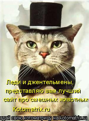 Леди и джентельмены, представляю вам лучший сайт про смешных животных- Kotomatrix.ru... Котоматрица: Леди и джентельмены, представляю вам лучший сайт про смешных животных- Kotomatrix.ru
