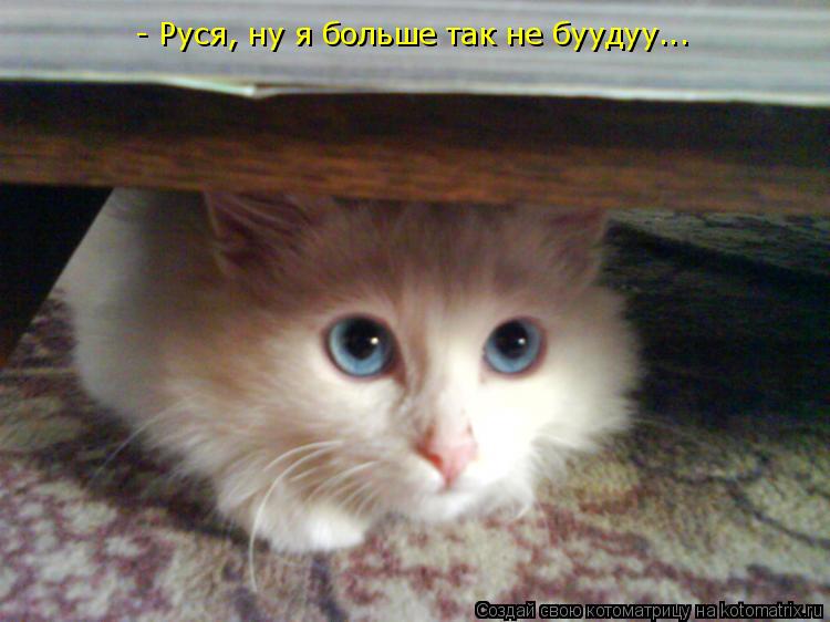 - Руся, ну я больше так не буудуу...... Котоматрица: - Руся, ну я больше так не буудуу...