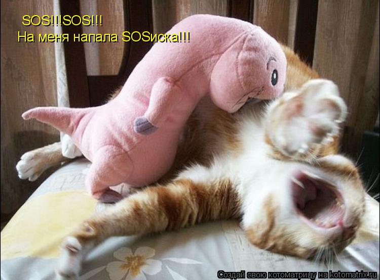 SOS!!!SOS!!! На меня напала SOSиска!!!... Котоматрица: SOS!!!SOS!!! На меня напала SOSиска!!!