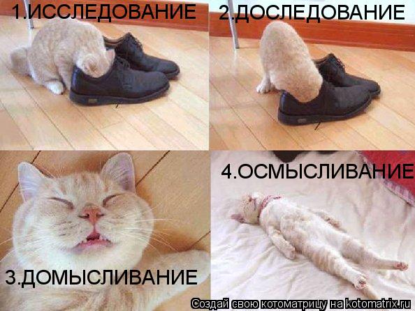 1.ИССЛЕДОВАНИЕ 2.ДОСЛЕДОВАНИЕ 3.ДОМЫСЛИВАНИЕ 4.ОСМЫСЛИВАНИЕ... Котоматрица: 1.ИССЛЕДОВАНИЕ 2.ДОСЛЕДОВАНИЕ 3.ДОМЫСЛИВАНИЕ 4.ОСМЫСЛИВАНИЕ