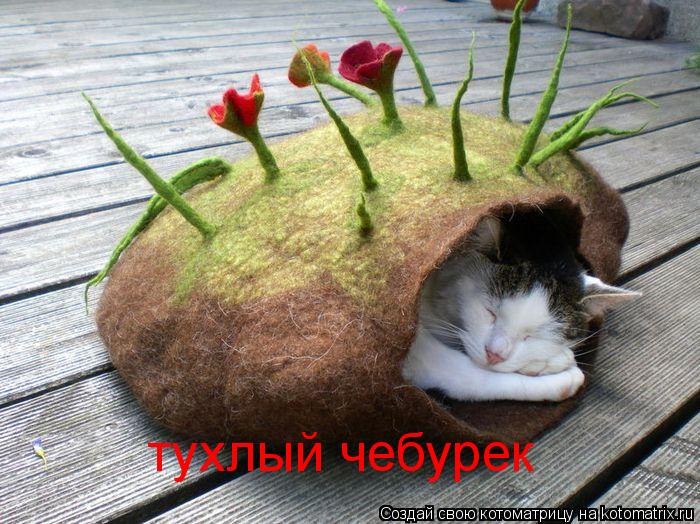 тухлый чебурек... Котоматрица: тухлый чебурек
