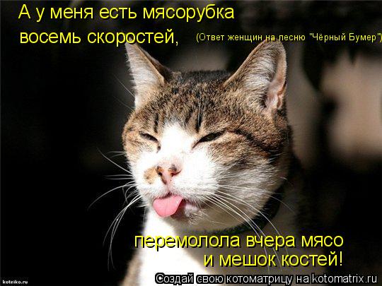 А у меня есть мясорубка восемь скоростей, перемолола вчера мясо (Ответ женщин на песню "Чёрный Бумер"... Котоматрица: А у меня есть мясорубка восемь скоростей, перемолола вчера мясо (Ответ женщин на песню "Чёрный Бумер") и мешок костей!