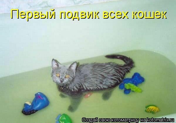 Первый подвик всех кошек... Котоматрица: Первый подвик всех кошек