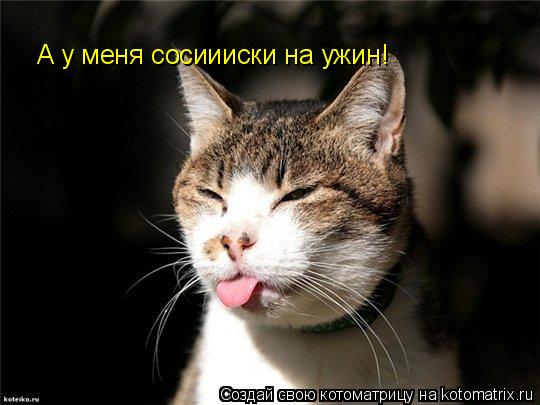 Котоматрица: А у меня сосиииски на ужин!